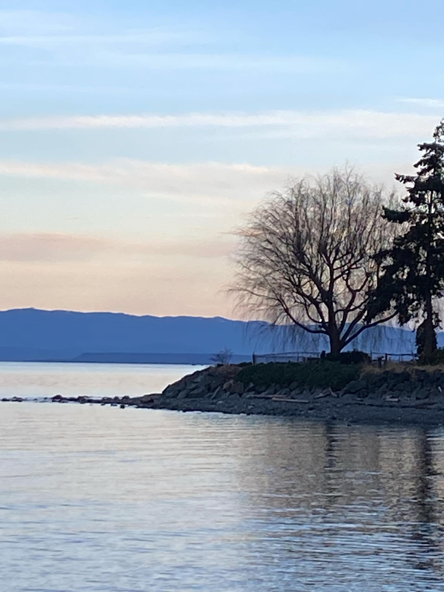 Shoreline bathed in soft light